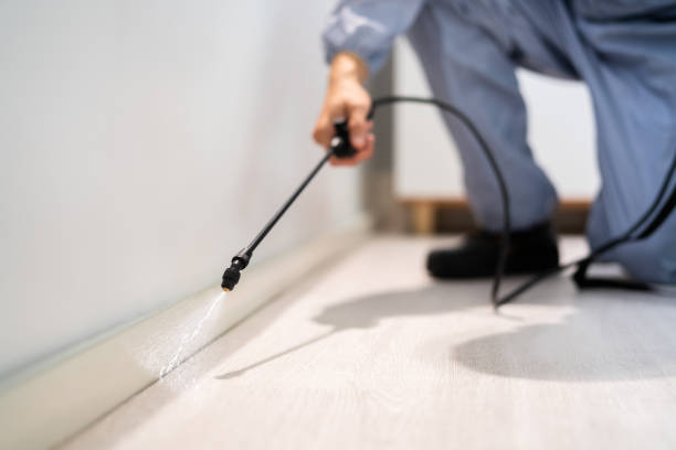 Licensed Fumigation Services service in San Juan County County, CO - Nex Pest Control